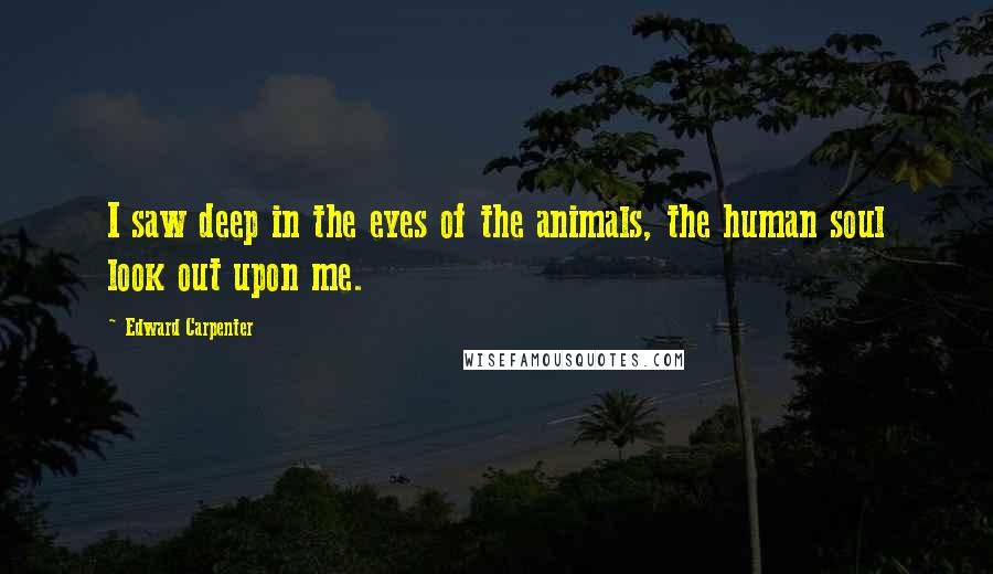 Edward Carpenter Quotes: I saw deep in the eyes of the animals, the human soul look out upon me.