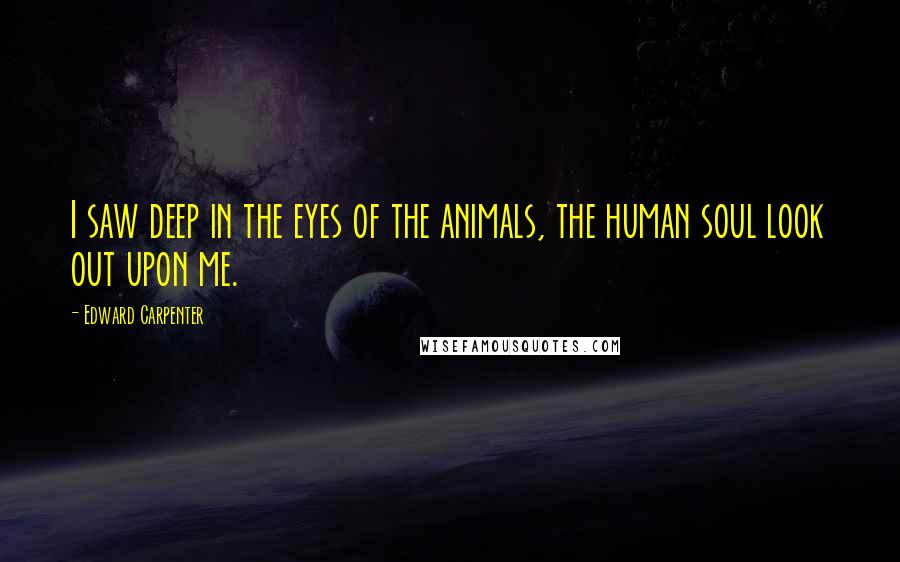 Edward Carpenter Quotes: I saw deep in the eyes of the animals, the human soul look out upon me.