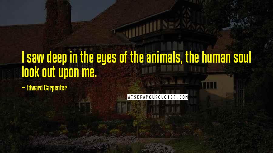 Edward Carpenter Quotes: I saw deep in the eyes of the animals, the human soul look out upon me.