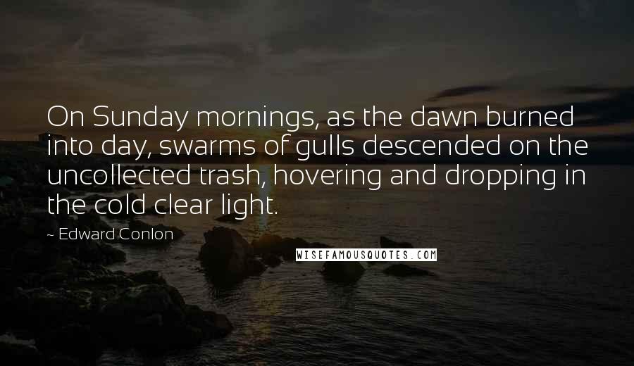 Edward Conlon Quotes: On Sunday mornings, as the dawn burned into day, swarms of gulls descended on the uncollected trash, hovering and dropping in the cold clear light.