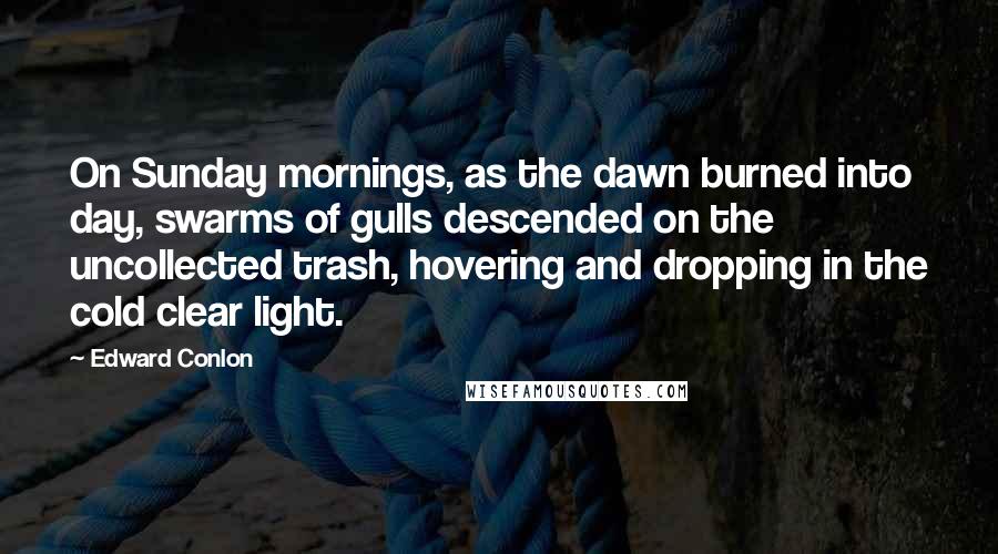 Edward Conlon Quotes: On Sunday mornings, as the dawn burned into day, swarms of gulls descended on the uncollected trash, hovering and dropping in the cold clear light.