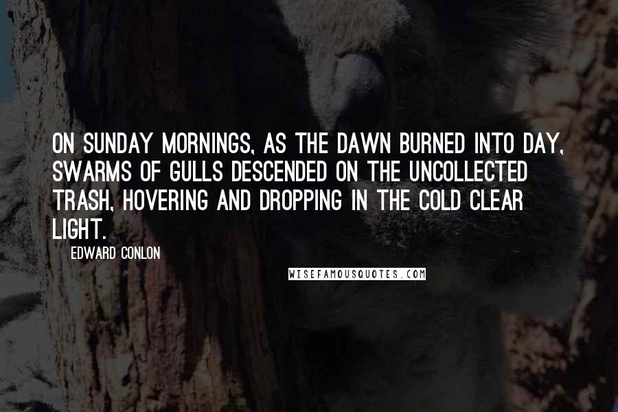 Edward Conlon Quotes: On Sunday mornings, as the dawn burned into day, swarms of gulls descended on the uncollected trash, hovering and dropping in the cold clear light.