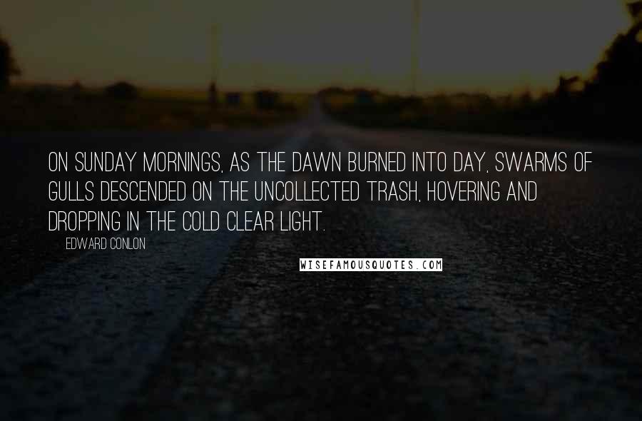 Edward Conlon Quotes: On Sunday mornings, as the dawn burned into day, swarms of gulls descended on the uncollected trash, hovering and dropping in the cold clear light.