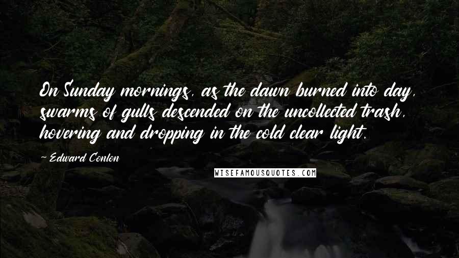 Edward Conlon Quotes: On Sunday mornings, as the dawn burned into day, swarms of gulls descended on the uncollected trash, hovering and dropping in the cold clear light.