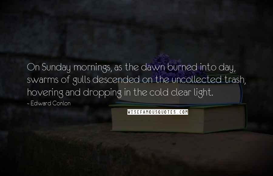 Edward Conlon Quotes: On Sunday mornings, as the dawn burned into day, swarms of gulls descended on the uncollected trash, hovering and dropping in the cold clear light.