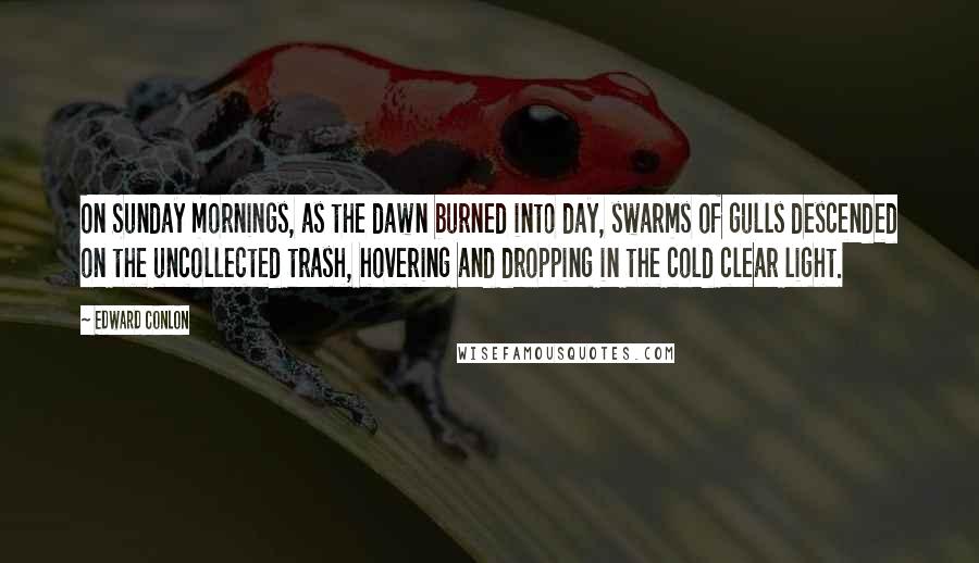 Edward Conlon Quotes: On Sunday mornings, as the dawn burned into day, swarms of gulls descended on the uncollected trash, hovering and dropping in the cold clear light.