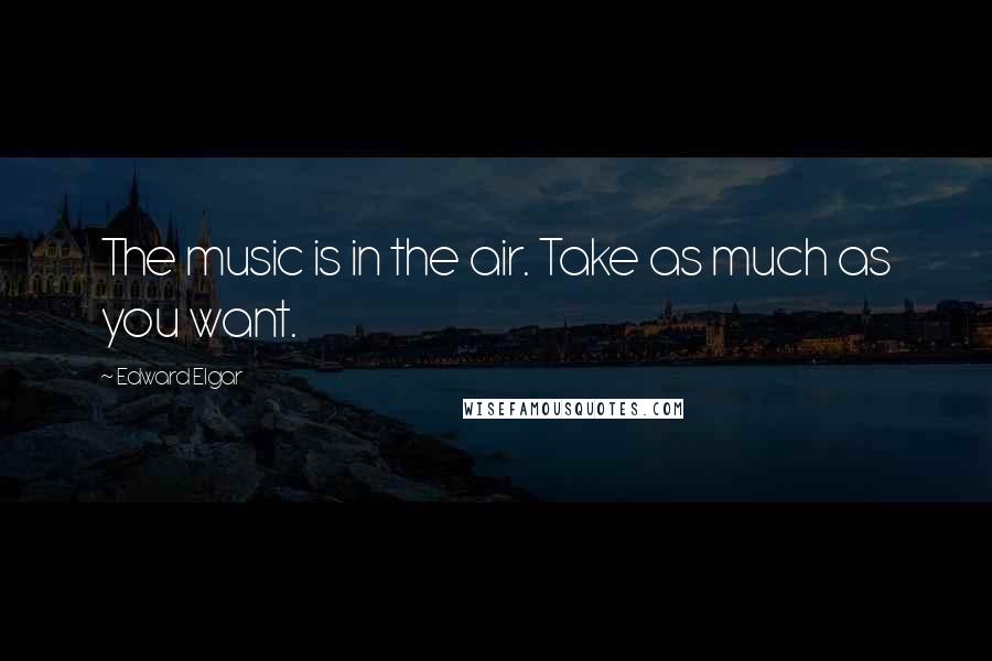 Edward Elgar Quotes: The music is in the air. Take as much as you want.