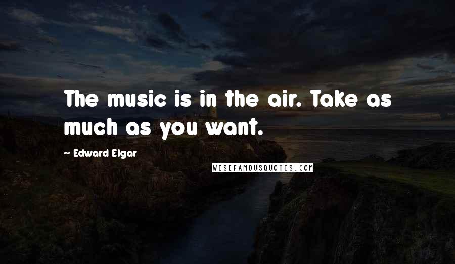 Edward Elgar Quotes: The music is in the air. Take as much as you want.