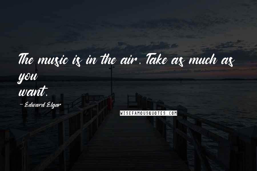 Edward Elgar Quotes: The music is in the air. Take as much as you want.