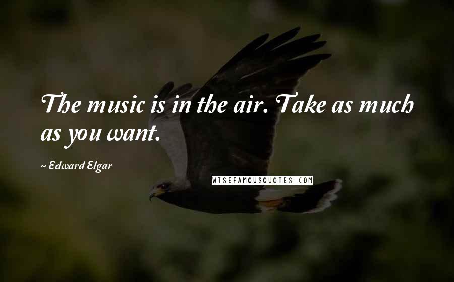 Edward Elgar Quotes: The music is in the air. Take as much as you want.