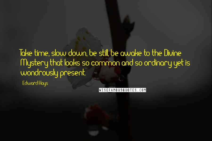 Edward Hays Quotes: Take time, slow down, be still, be awake to the Divine Mystery that looks so common and so ordinary yet is wondrously present.