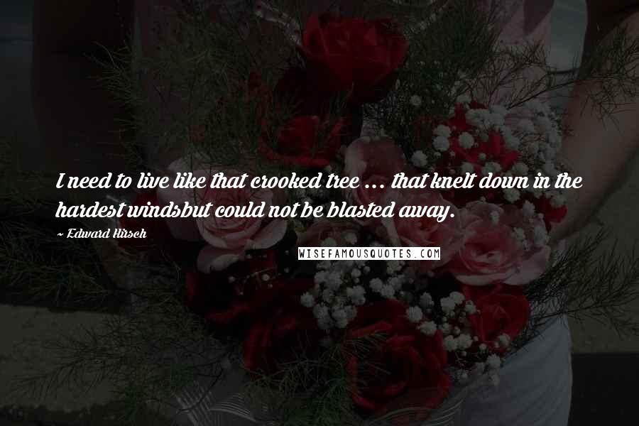 Edward Hirsch Quotes: I need to live like that crooked tree ... that knelt down in the hardest windsbut could not be blasted away.