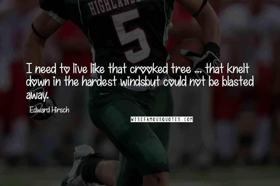 Edward Hirsch Quotes: I need to live like that crooked tree ... that knelt down in the hardest windsbut could not be blasted away.