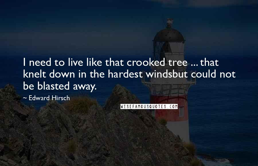 Edward Hirsch Quotes: I need to live like that crooked tree ... that knelt down in the hardest windsbut could not be blasted away.