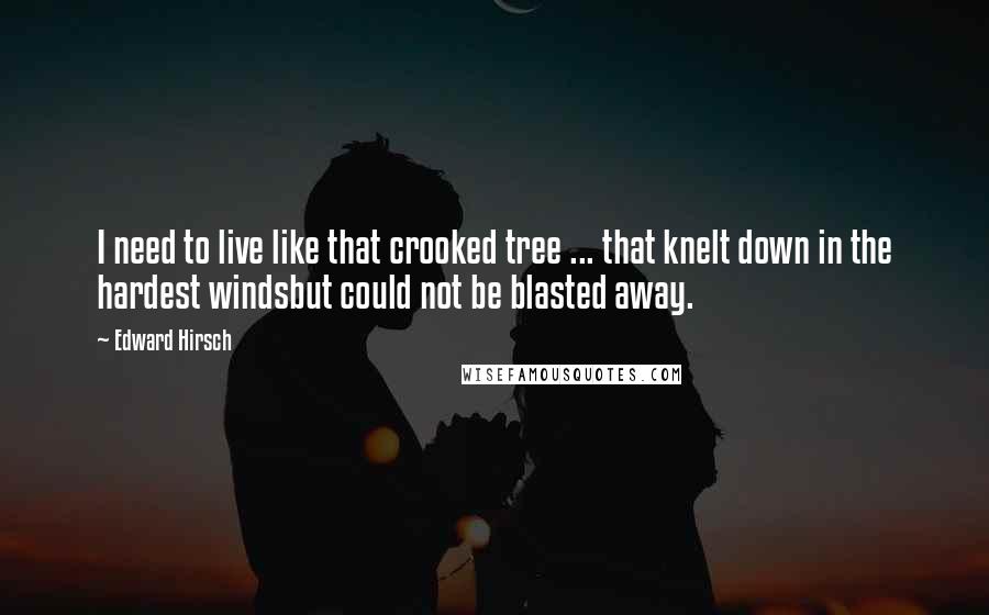 Edward Hirsch Quotes: I need to live like that crooked tree ... that knelt down in the hardest windsbut could not be blasted away.