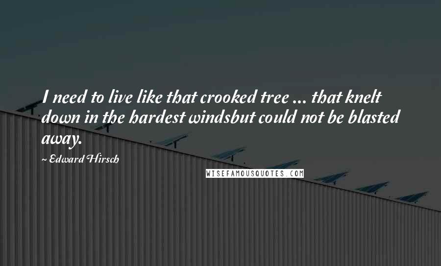 Edward Hirsch Quotes: I need to live like that crooked tree ... that knelt down in the hardest windsbut could not be blasted away.