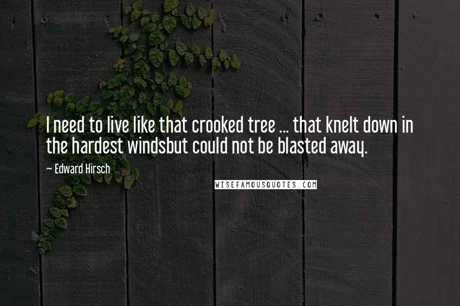 Edward Hirsch Quotes: I need to live like that crooked tree ... that knelt down in the hardest windsbut could not be blasted away.