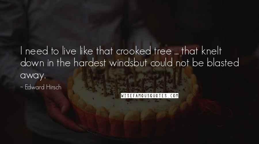 Edward Hirsch Quotes: I need to live like that crooked tree ... that knelt down in the hardest windsbut could not be blasted away.