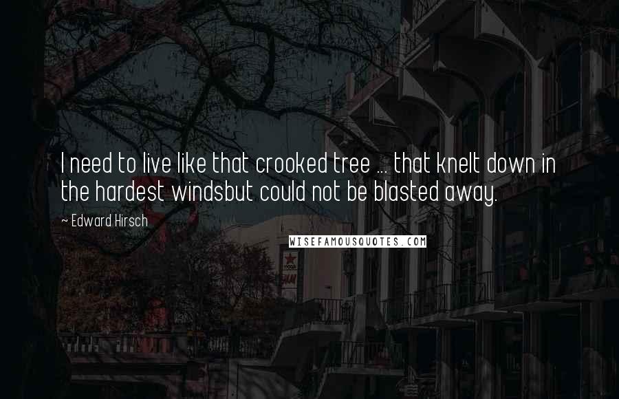 Edward Hirsch Quotes: I need to live like that crooked tree ... that knelt down in the hardest windsbut could not be blasted away.