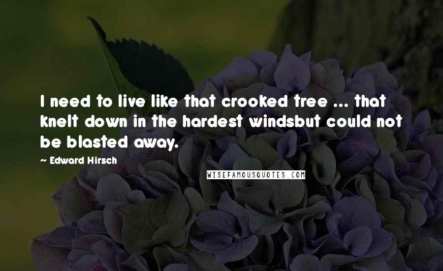 Edward Hirsch Quotes: I need to live like that crooked tree ... that knelt down in the hardest windsbut could not be blasted away.