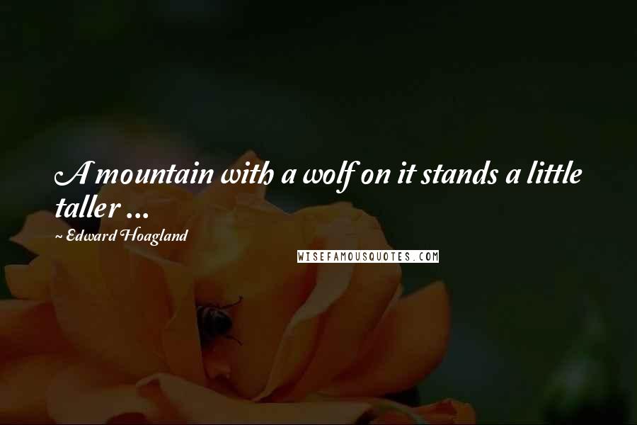 Edward Hoagland Quotes: A mountain with a wolf on it stands a little taller ...