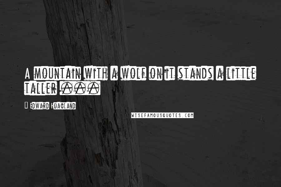 Edward Hoagland Quotes: A mountain with a wolf on it stands a little taller ...