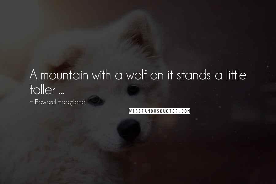 Edward Hoagland Quotes: A mountain with a wolf on it stands a little taller ...