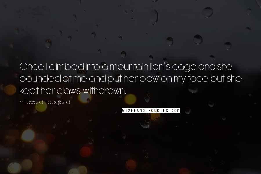 Edward Hoagland Quotes: Once I climbed into a mountain lion's cage and she bounded at me and put her paw on my face, but she kept her claws withdrawn.