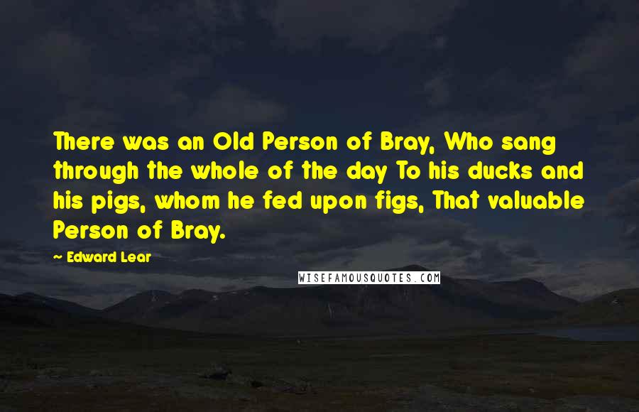 Edward Lear Quotes: There was an Old Person of Bray, Who sang through the whole of the day To his ducks and his pigs, whom he fed upon figs, That valuable Person of Bray.
