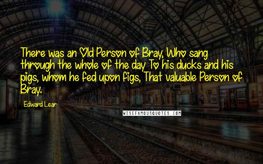 Edward Lear Quotes: There was an Old Person of Bray, Who sang through the whole of the day To his ducks and his pigs, whom he fed upon figs, That valuable Person of Bray.