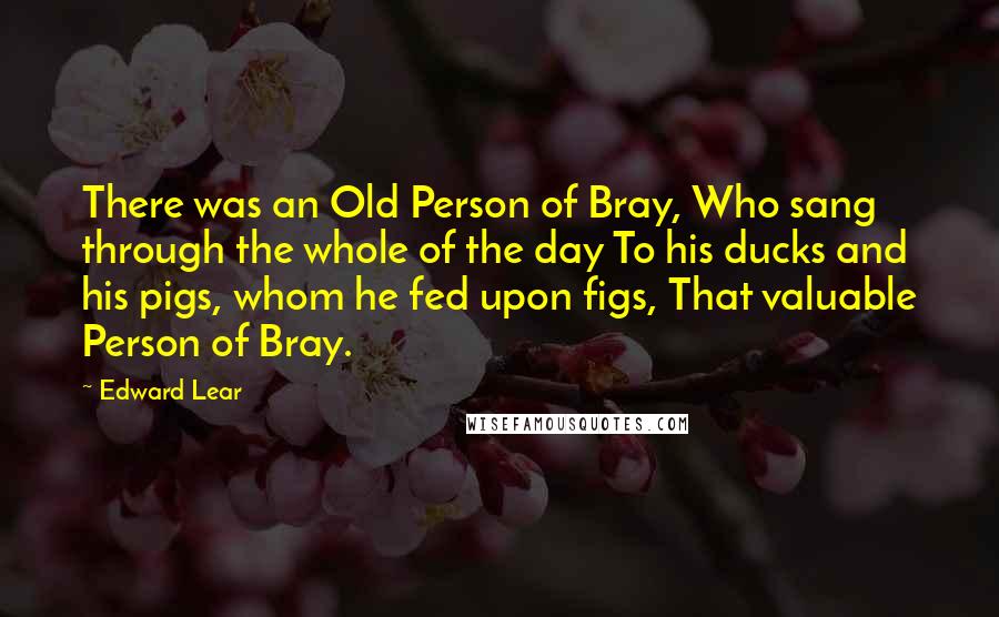 Edward Lear Quotes: There was an Old Person of Bray, Who sang through the whole of the day To his ducks and his pigs, whom he fed upon figs, That valuable Person of Bray.