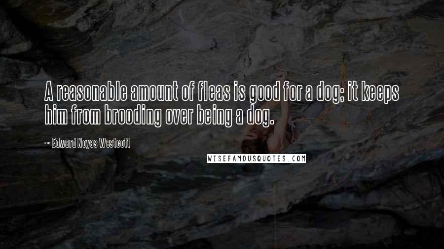 Edward Noyes Westcott Quotes: A reasonable amount of fleas is good for a dog; it keeps him from brooding over being a dog.