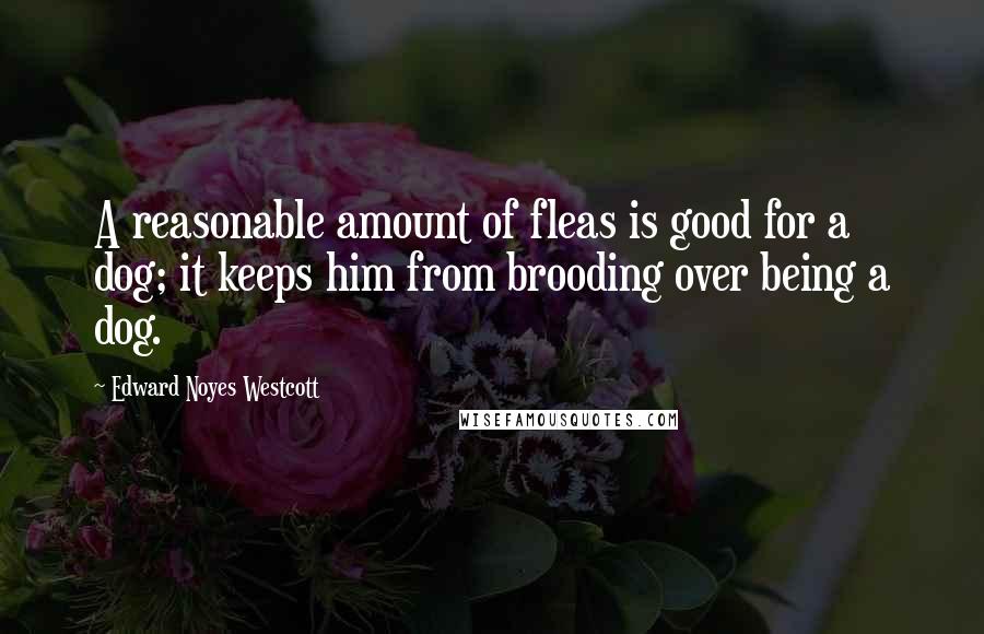 Edward Noyes Westcott Quotes: A reasonable amount of fleas is good for a dog; it keeps him from brooding over being a dog.