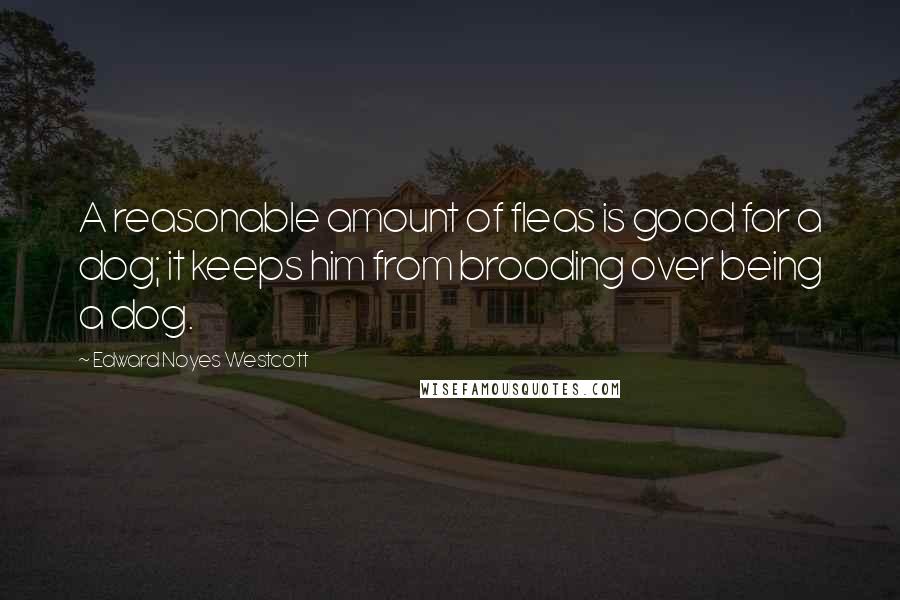 Edward Noyes Westcott Quotes: A reasonable amount of fleas is good for a dog; it keeps him from brooding over being a dog.