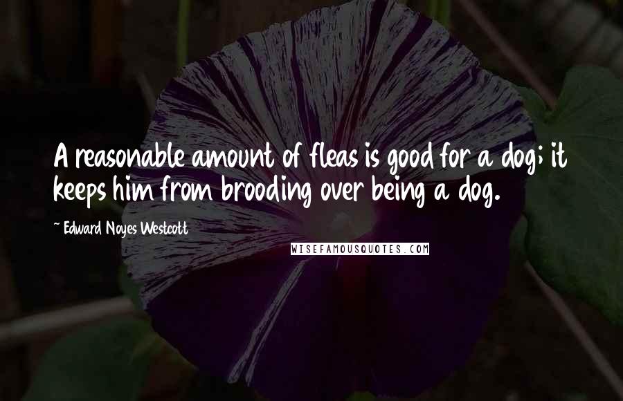 Edward Noyes Westcott Quotes: A reasonable amount of fleas is good for a dog; it keeps him from brooding over being a dog.