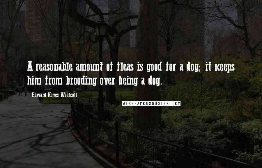 Edward Noyes Westcott Quotes: A reasonable amount of fleas is good for a dog; it keeps him from brooding over being a dog.