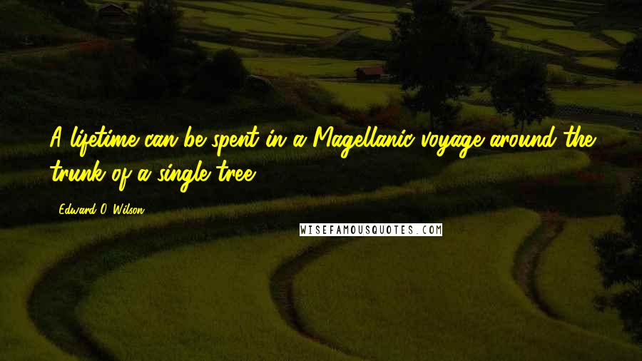 Edward O. Wilson Quotes: A lifetime can be spent in a Magellanic voyage around the trunk of a single tree.