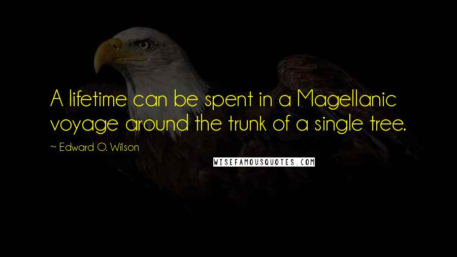 Edward O. Wilson Quotes: A lifetime can be spent in a Magellanic voyage around the trunk of a single tree.