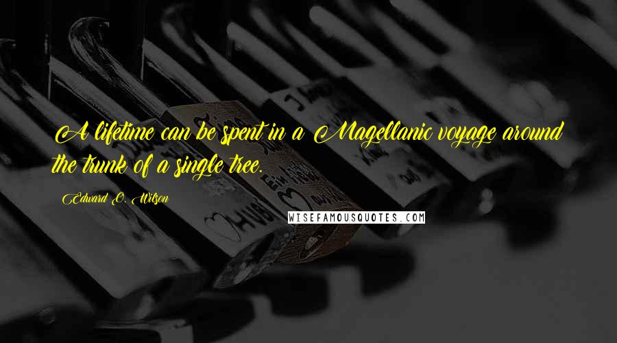 Edward O. Wilson Quotes: A lifetime can be spent in a Magellanic voyage around the trunk of a single tree.