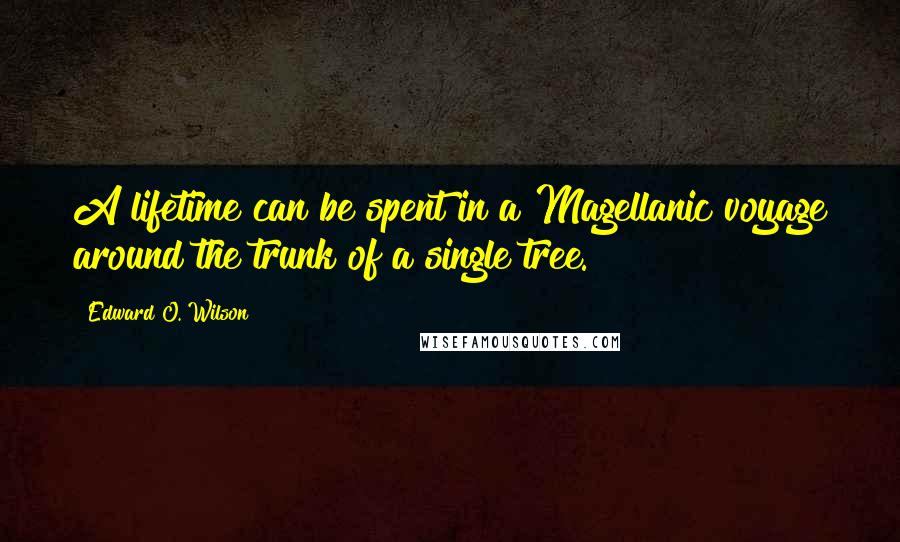 Edward O. Wilson Quotes: A lifetime can be spent in a Magellanic voyage around the trunk of a single tree.