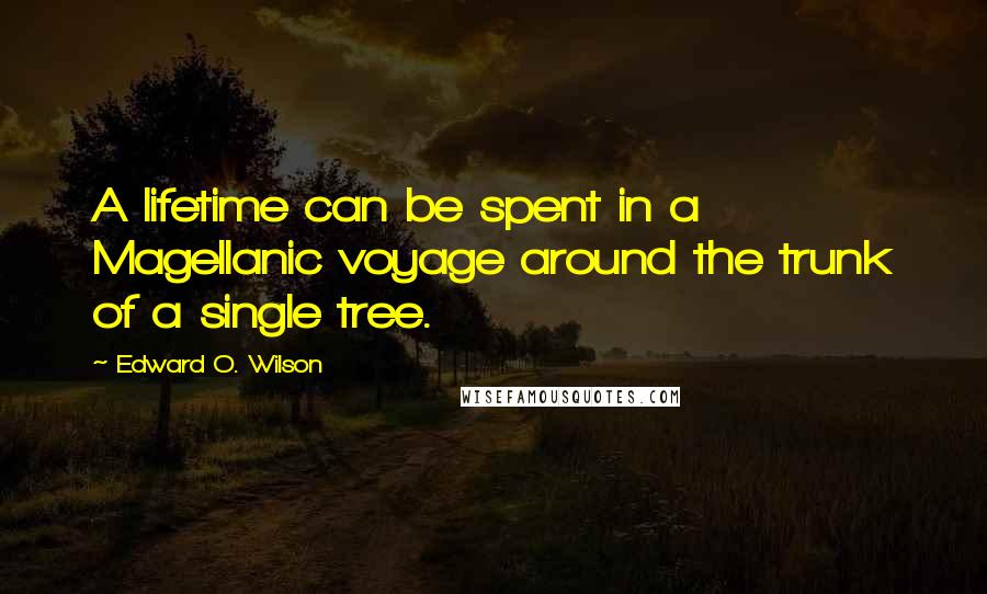 Edward O. Wilson Quotes: A lifetime can be spent in a Magellanic voyage around the trunk of a single tree.