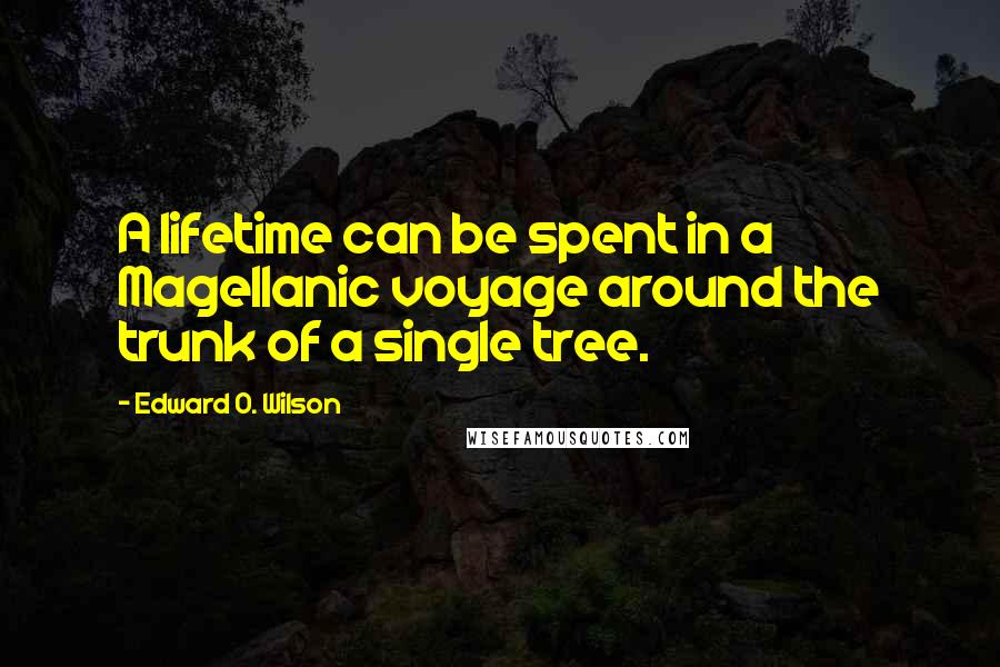 Edward O. Wilson Quotes: A lifetime can be spent in a Magellanic voyage around the trunk of a single tree.