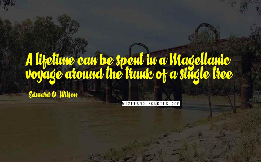 Edward O. Wilson Quotes: A lifetime can be spent in a Magellanic voyage around the trunk of a single tree.