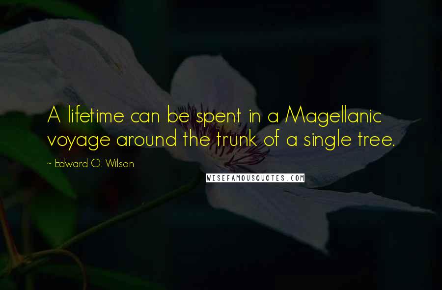 Edward O. Wilson Quotes: A lifetime can be spent in a Magellanic voyage around the trunk of a single tree.