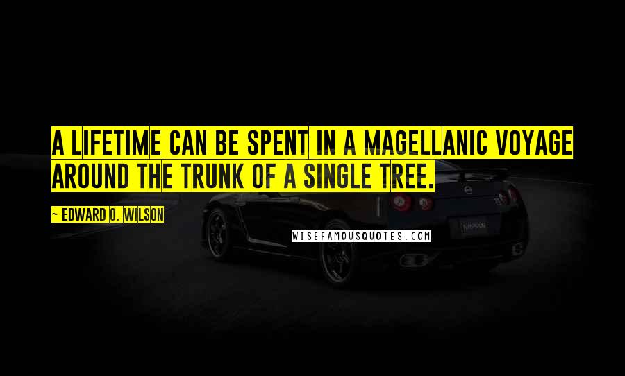 Edward O. Wilson Quotes: A lifetime can be spent in a Magellanic voyage around the trunk of a single tree.