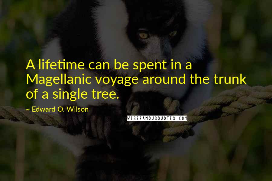 Edward O. Wilson Quotes: A lifetime can be spent in a Magellanic voyage around the trunk of a single tree.