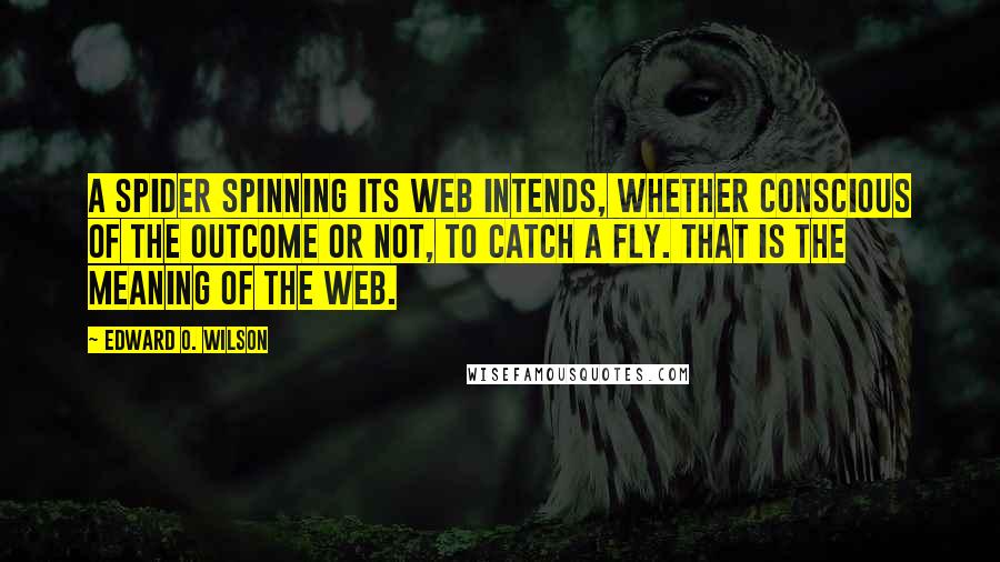 Edward O. Wilson Quotes: A spider spinning its web intends, whether conscious of the outcome or not, to catch a fly. That is the meaning of the web.