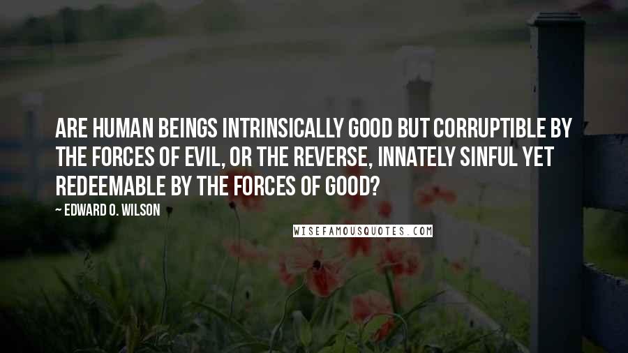 Edward O. Wilson Quotes: Are human beings intrinsically good but corruptible by the forces of evil, or the reverse, innately sinful yet redeemable by the forces of good?