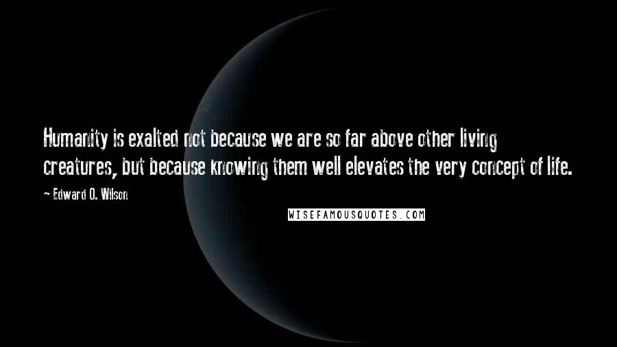 Edward O. Wilson Quotes: Humanity is exalted not because we are so far above other living creatures, but because knowing them well elevates the very concept of life.