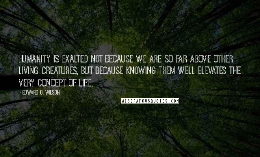 Edward O. Wilson Quotes: Humanity is exalted not because we are so far above other living creatures, but because knowing them well elevates the very concept of life.